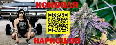 дмт Ставрополь