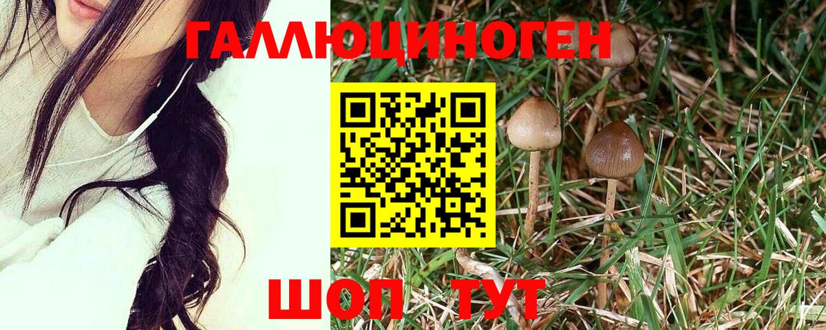 Галлюциногенные грибы Cubensis Нефтеюганск